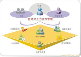 上海專業(yè)人力資源服務(wù) 全方位解析勞務(wù)派遣、免費(fèi)中介與人事代理